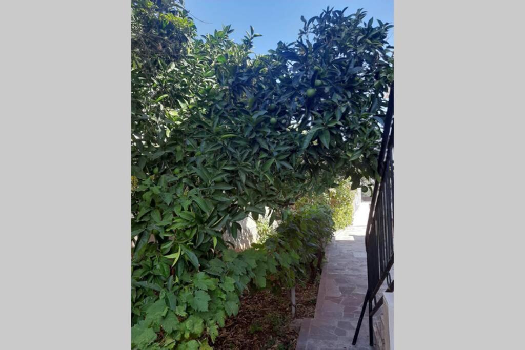 Giovanna - Spacious Lovely Apartment ซูเปตาร์ ภายนอก รูปภาพ